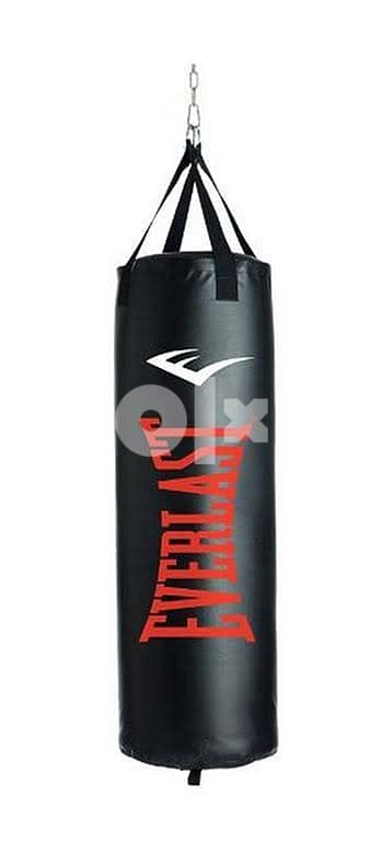 everlast 100 heavy bag