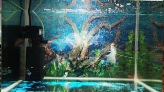 aquarium