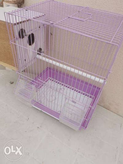 Cage for budgies 0