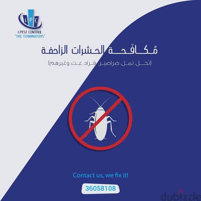 Bahrain Pest Control Serice - Best Offer - Call Now 5